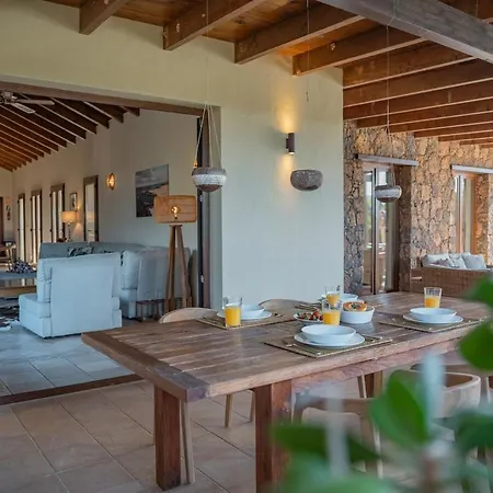 Pangur-ban By Aura Collection