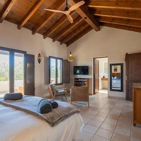 Pangur-ban By Aura Collection