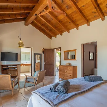 Pangur-ban By Aura Collection