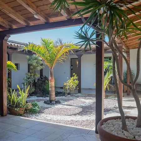 Pangur-ban By Aura Collection