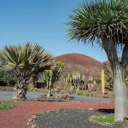 Pangur-ban By Aura Collection Vila *