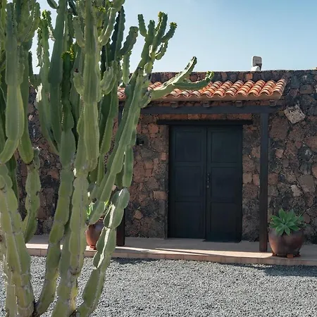 Pangur-ban By Aura Collection * Lajares