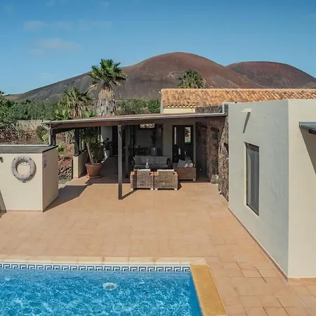 Pangur-ban By Aura Collection