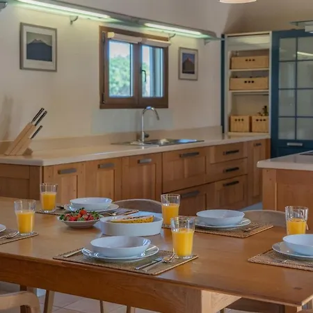 Pangur-ban By Aura Collection Vila Lajares