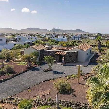 Pangur-ban By Aura Collection Lajares