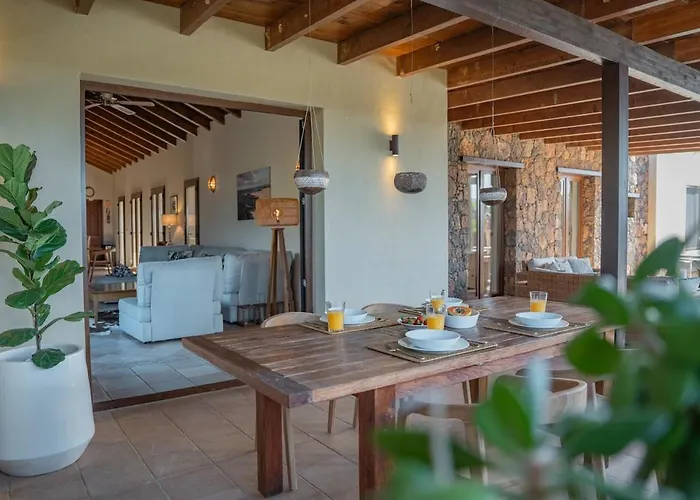 Pangur-ban By Aura Collection