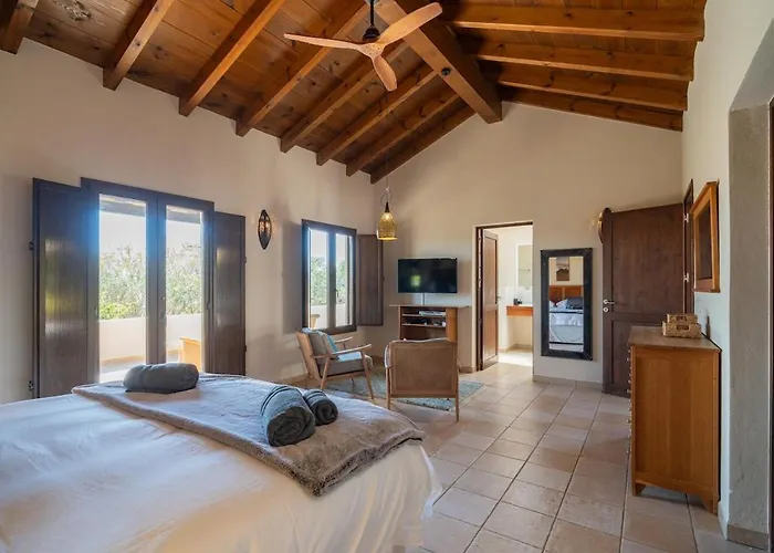 Pangur-ban By Aura Collection