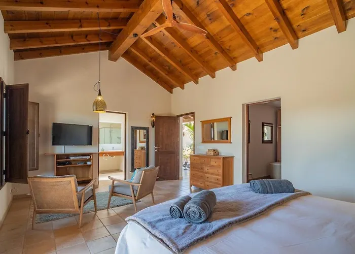 Pangur-ban By Aura Collection