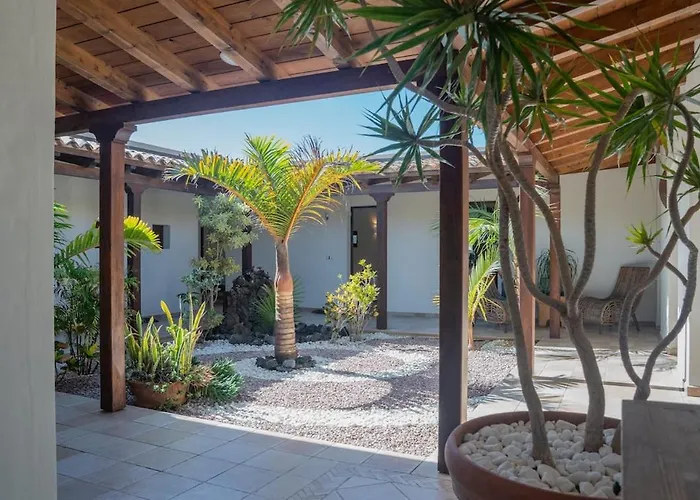 Pangur-ban By Aura Collection