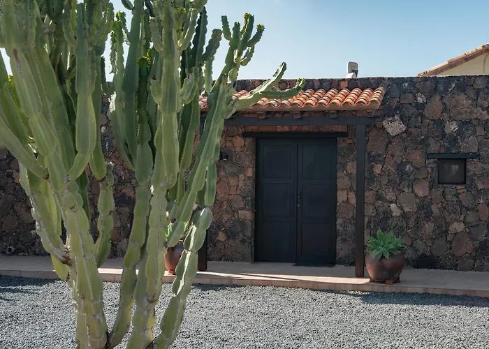 Pangur-ban By Aura Collection * Lajares