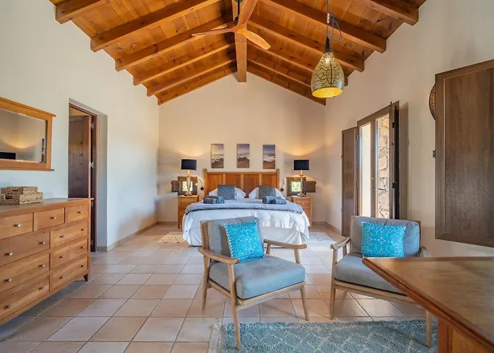 Pangur-ban By Aura Collection *