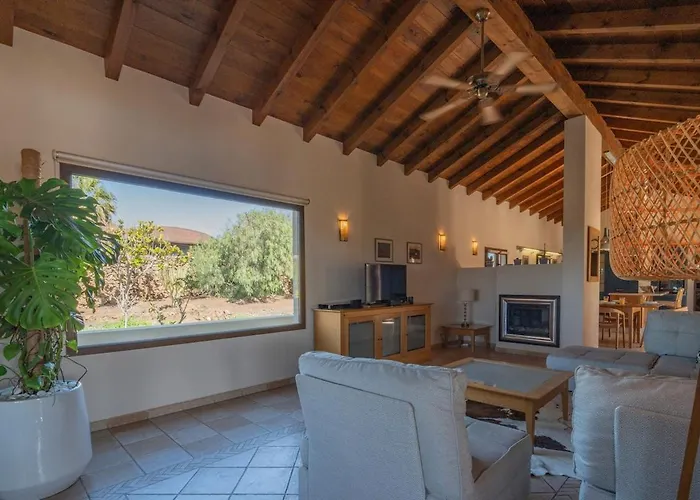 Pangur-ban By Aura Collection