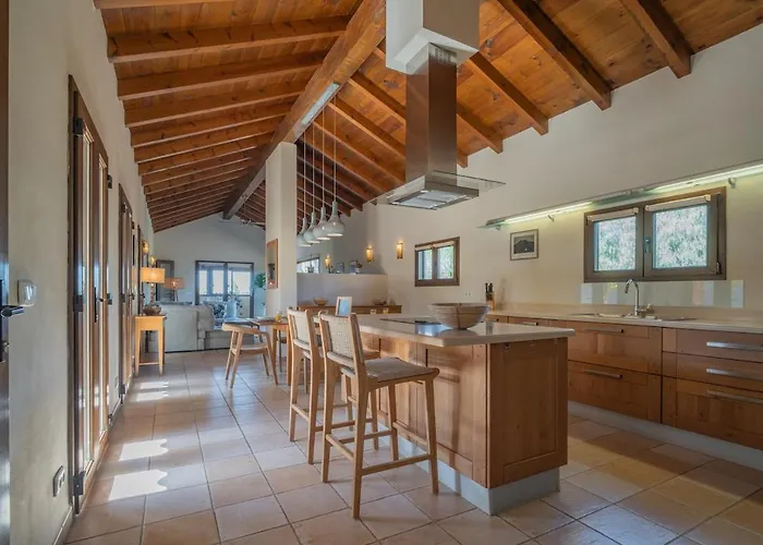 Pangur-ban By Aura Collection