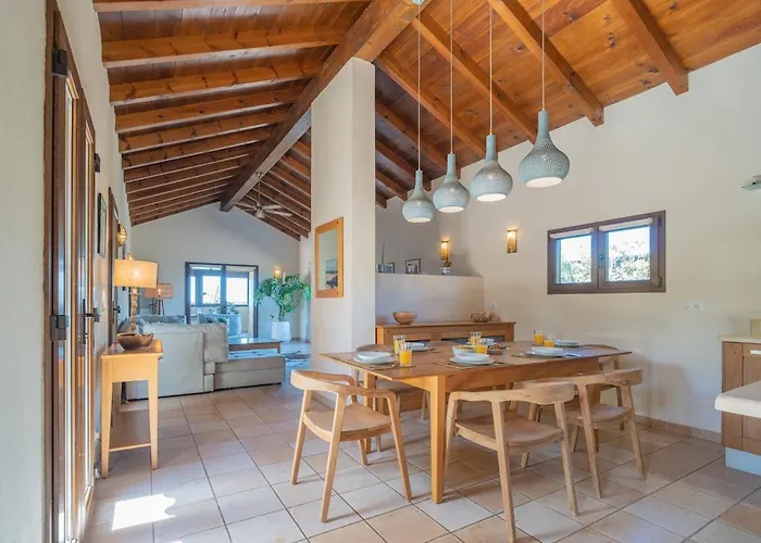 Pangur-ban By Aura Collection