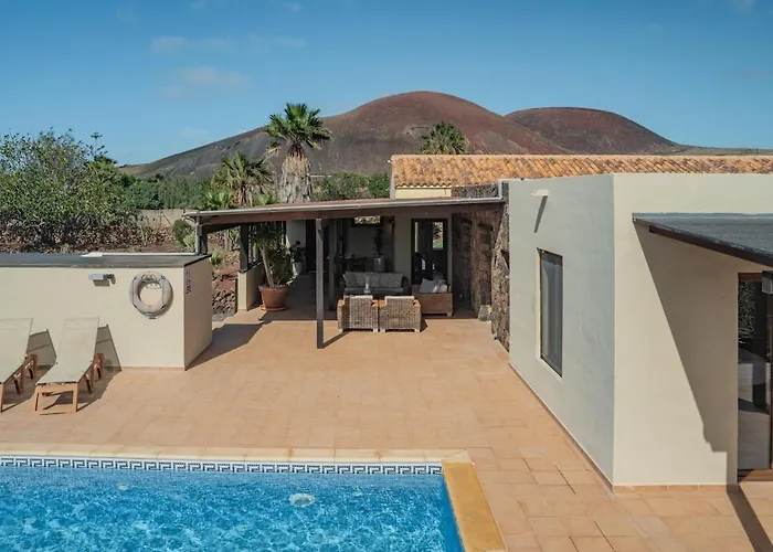 Pangur-ban By Aura Collection