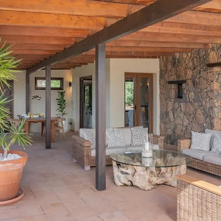 Pangur-ban By Aura Collection Lajares