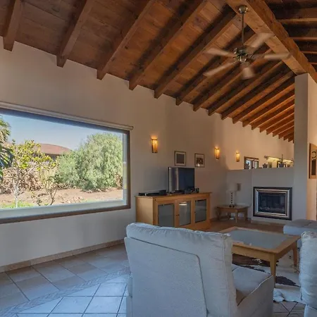 Pangur-ban By Aura Collection