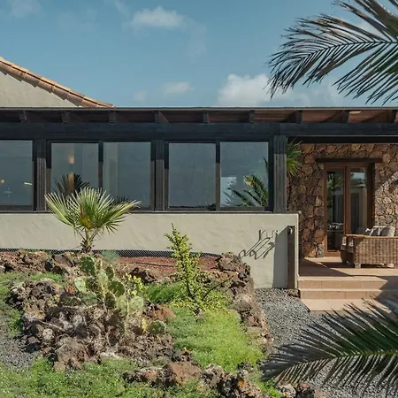 Pangur-ban By Aura Collection ラハレス