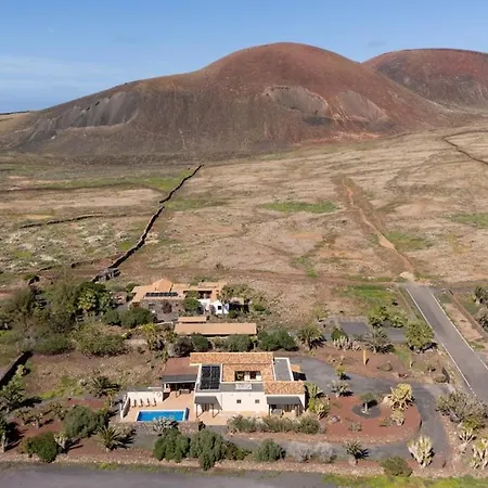 Pangur-ban By Aura Collection