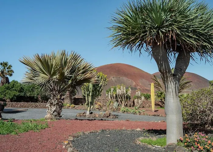 Pangur-ban By Aura Collection Villa *