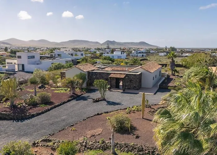 Pangur-ban By Aura Collection Lajares