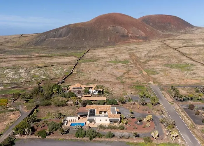 Pangur-ban By Aura Collection