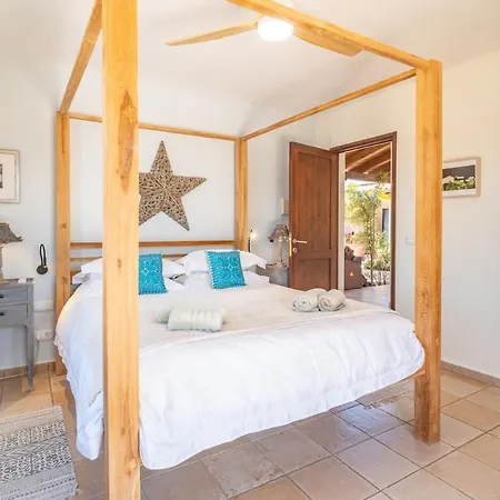 Pangur-ban By Aura Collection Willa Lajares