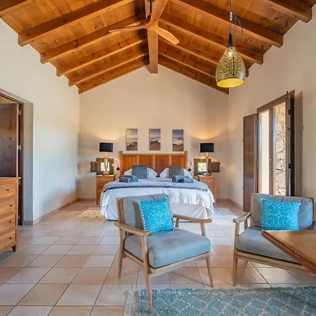 Pangur-ban By Aura Collection *