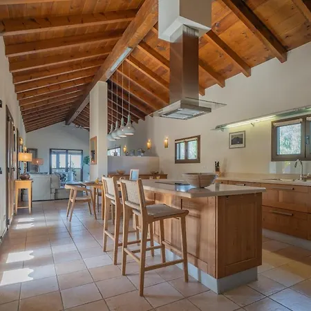 Pangur-ban By Aura Collection