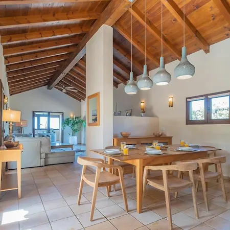 Pangur-ban By Aura Collection