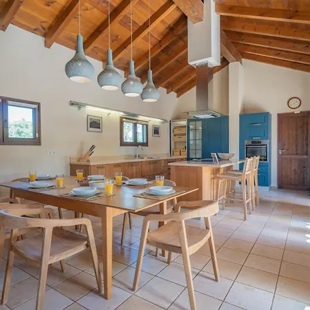 Pangur-ban By Aura Collection Willa Lajares