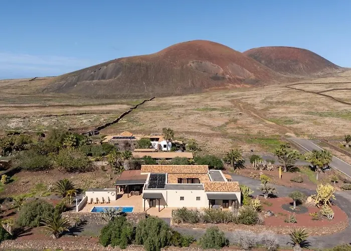 Pangur-ban By Aura Collection Willa Lajares