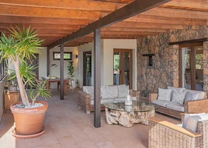 Pangur-ban By Aura Collection Lajares