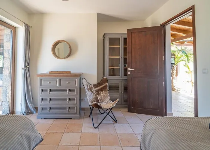 Willa Pangur-ban By Aura Collection *