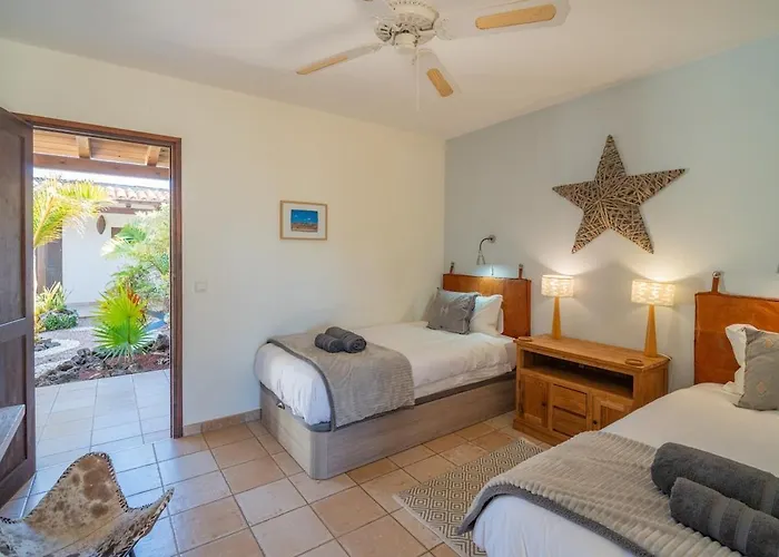 Willa Pangur-ban By Aura Collection