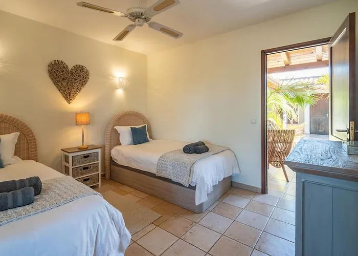 Pangur-ban By Aura Collection Willa