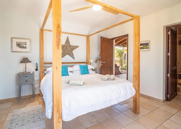 Pangur-ban By Aura Collection Willa Lajares