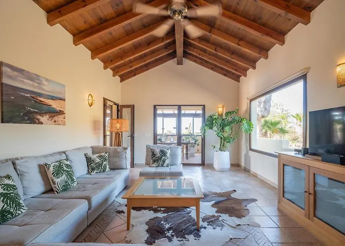 Pangur-ban By Aura Collection Willa *