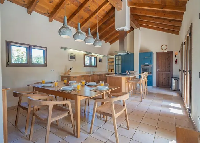 Pangur-ban By Aura Collection Willa Lajares