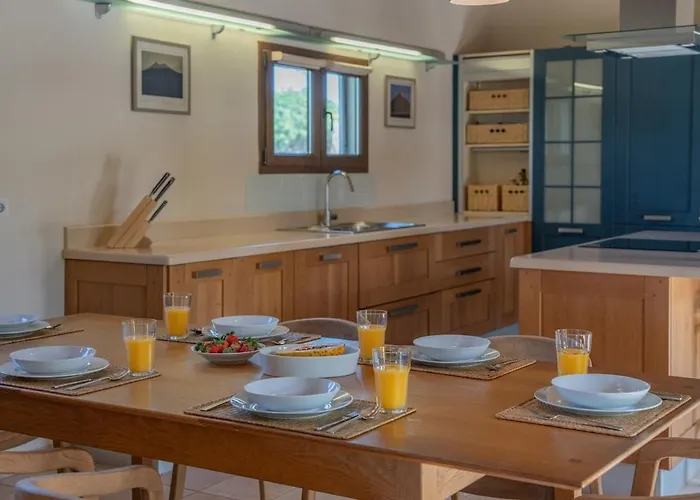 Pangur-ban By Aura Collection Willa Lajares