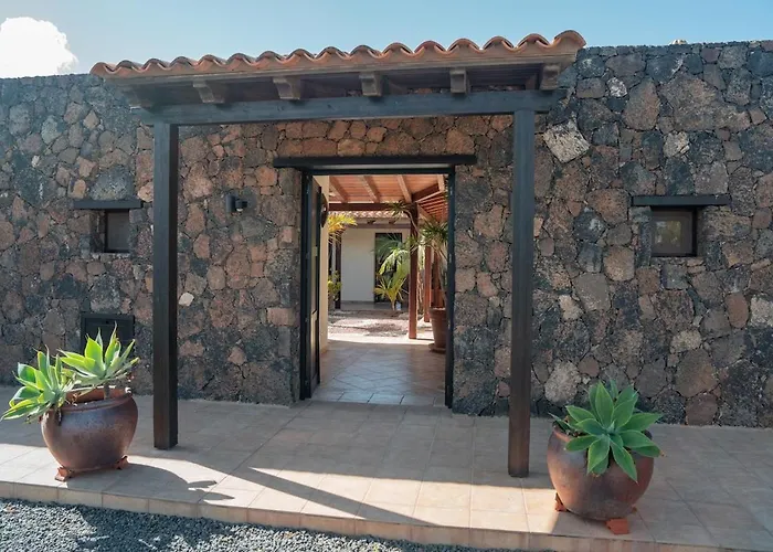 Pangur-ban By Aura Collection Willa Lajares